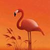 Flamingo _ 火烈鸟心理学